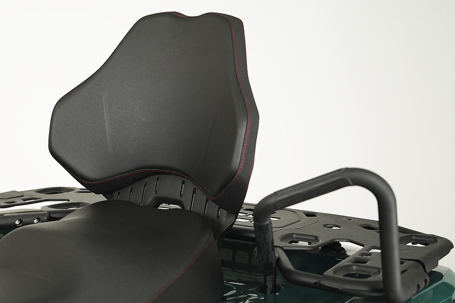 Спинка и ручки для пассажира